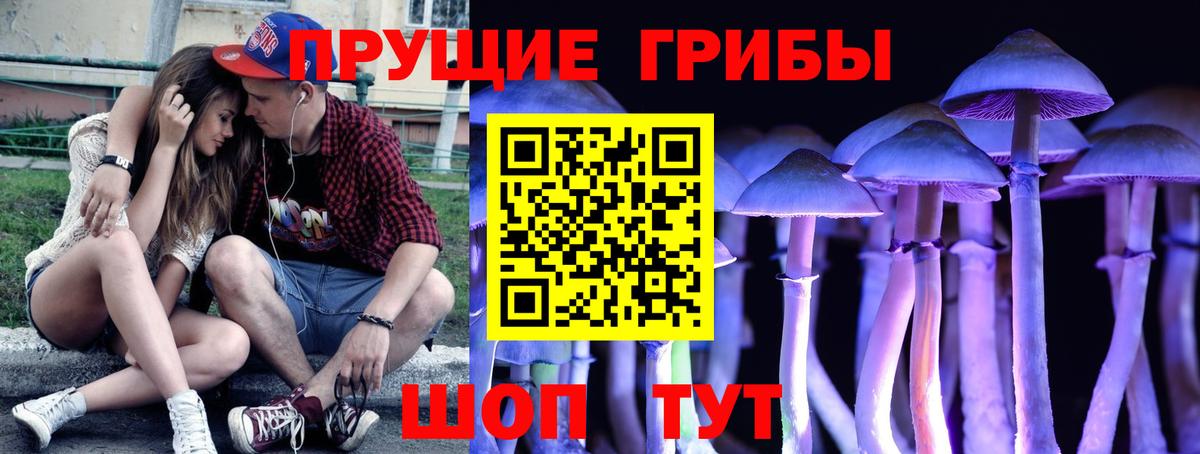 Псилоцибиновые грибы ЛСД  Вход с VPN  хочу   Нурлат 