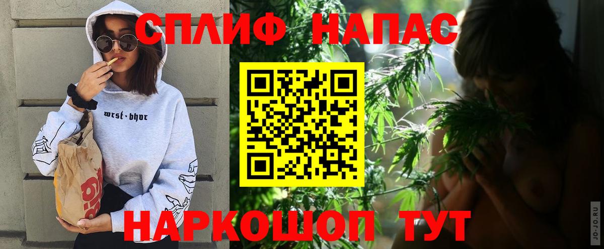 Канабис планчик Нурлат